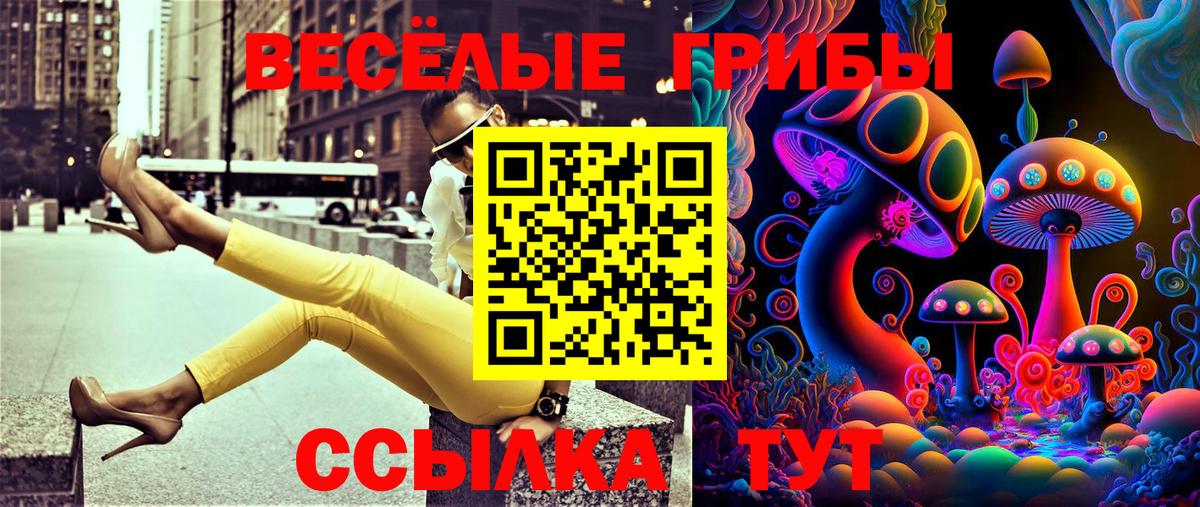 Псилоцибиновые грибы Psilocybe  Вход с VPN  Псилоцибиновые грибы ЛСД  Городец 