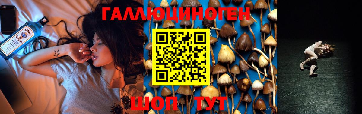 Псилоцибиновые грибы ЛСД Городец